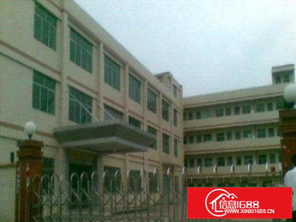 高埗新出一楼厂房1300平方米,水电齐全,带装修