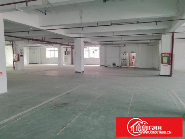 坂田五和地铁口1000平方一楼厂房出租可分200平起分。