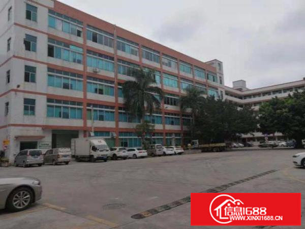 龙岗宝龙新出6000平米红本花园式独栋厂房招租