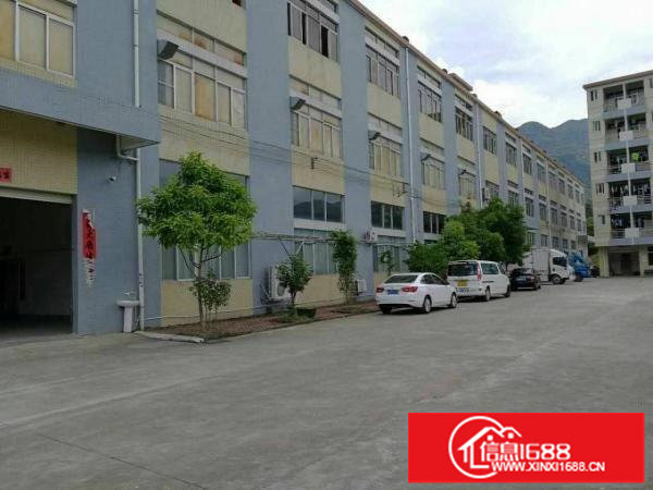 坪山沙湖，汤坑，碧岭大小一楼厂房12元急租