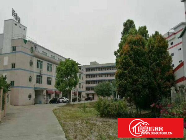 原房东楼上整层面积2000平方带现成豪华办公室装修