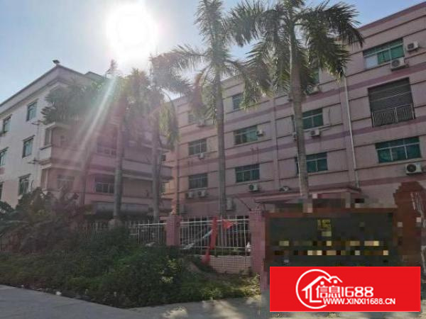 石碣四甲租客分租租金便宜厂房出租