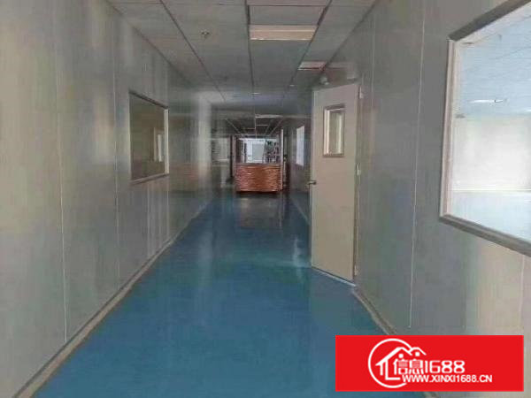 企石镇新出2600平方千级无尘车间，可生产口罩医疗器