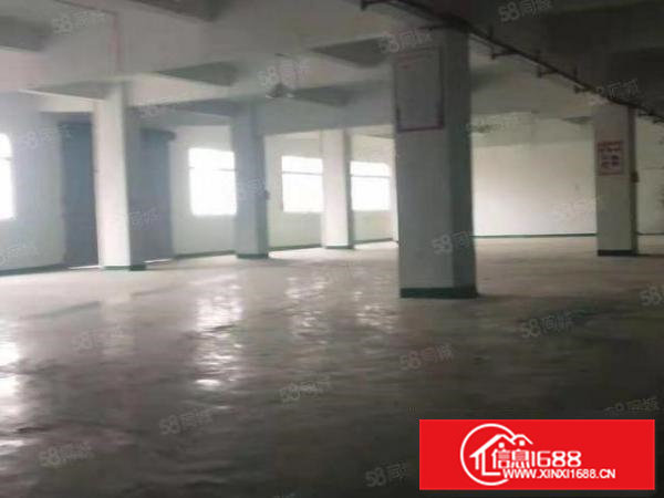 10元，大朗洋乌新出标准厂房980平，现成地坪漆水电齐全