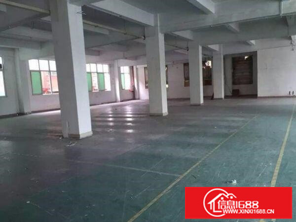 坂田路口天虹附近工业厂房1000平米可分租300