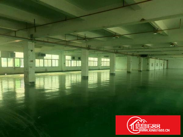 常平高速路附近独院分租，水电齐全