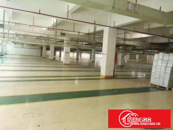 公明楼村大型工业园区3楼6000平方4楼6000平方厂房出租