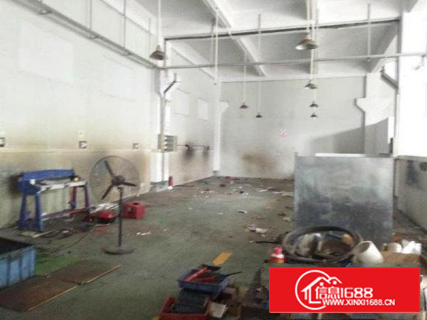 沙井一楼单层340平高5.5米以上，13米挂车可进