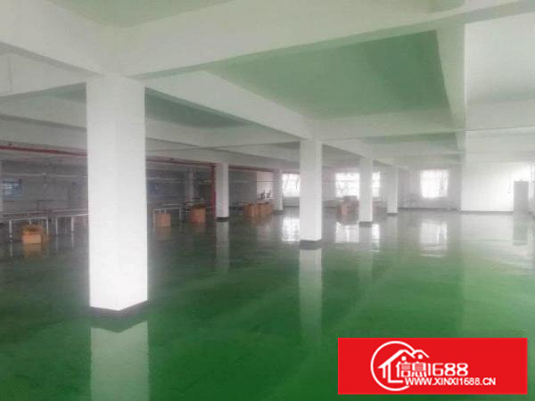 泰美全新地坪漆厂房出租分租