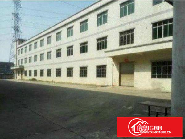 常平常黄路1000平一楼标准厂房出租价格便宜