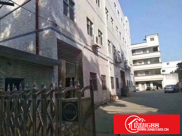 龙岗龙东新出独院厂房14层4600平现成装修厂房