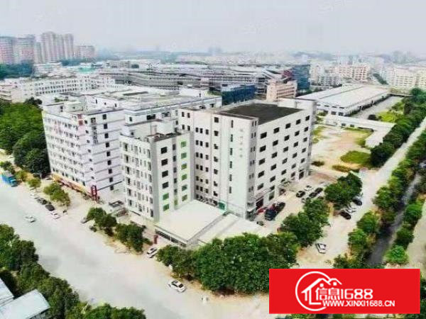 大朗新出独院14800平标准厂房钢构,部分无尘车间,地坪漆