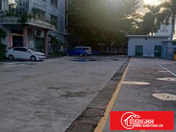 观澜君子布靓厂房出租