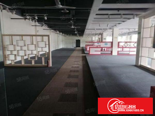 大岭山原房东550平小面积无尘车间独栋独院标准厂房出租