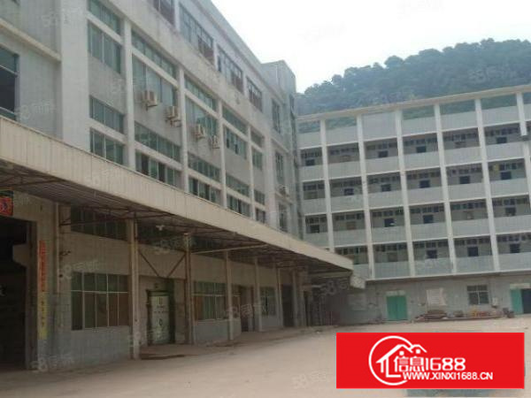 新空出独门独院四层厂房带超大空地9200平米业主直接出租