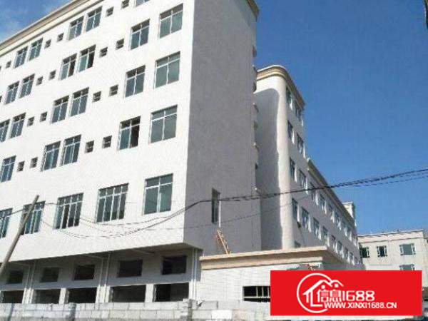 横沥田坑标准厂房出租楼上面积800平方带一部3吨电梯