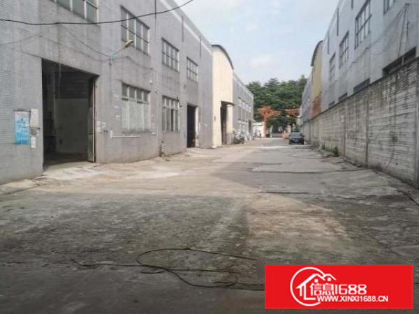 红本标准单层厂房出租