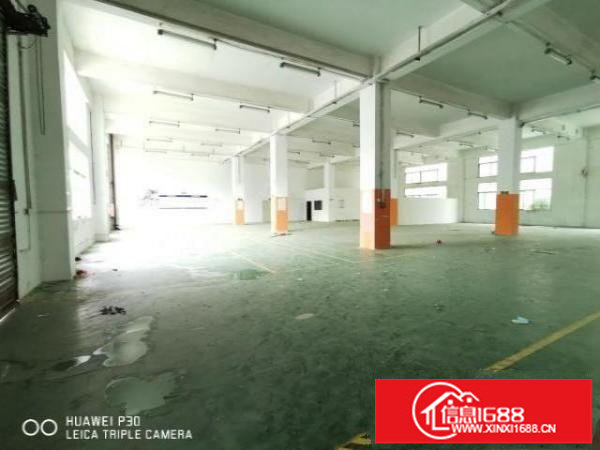 福永一楼1000平厂房出租