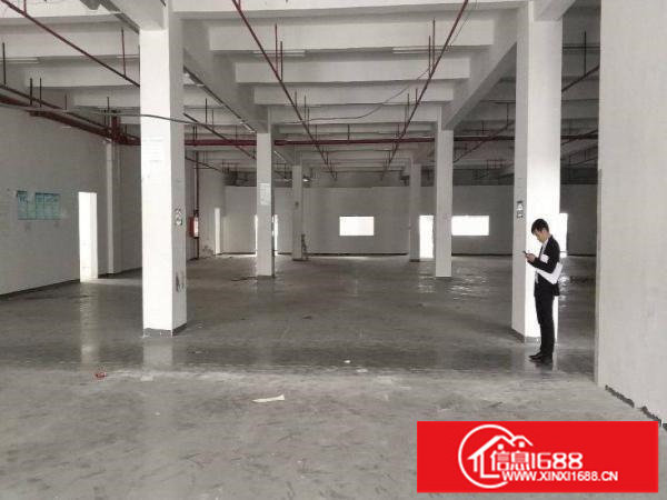 同乐工业区一楼厂房带消防喷淋950平高5.5米