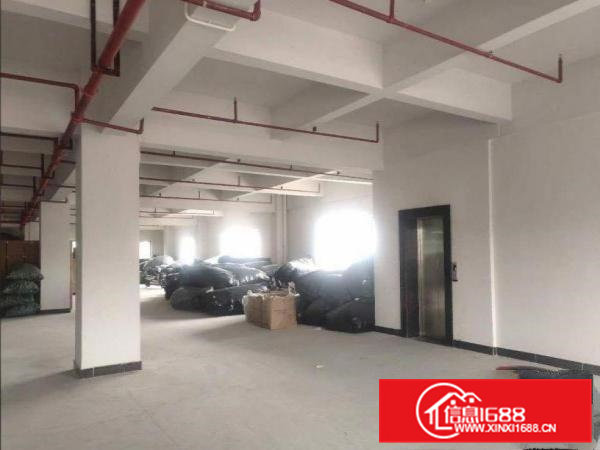 村头新出一700平厂房，原房东无公摊，租金便宜?