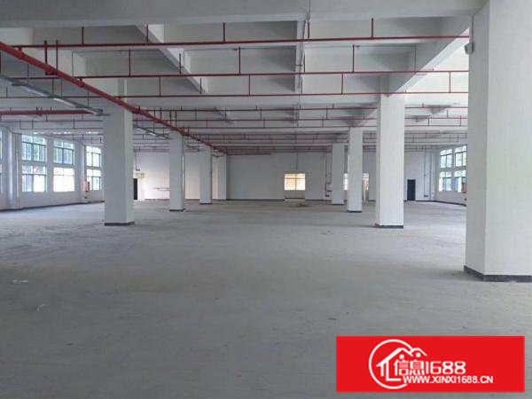全新厂房招租带红本，整租分租都可