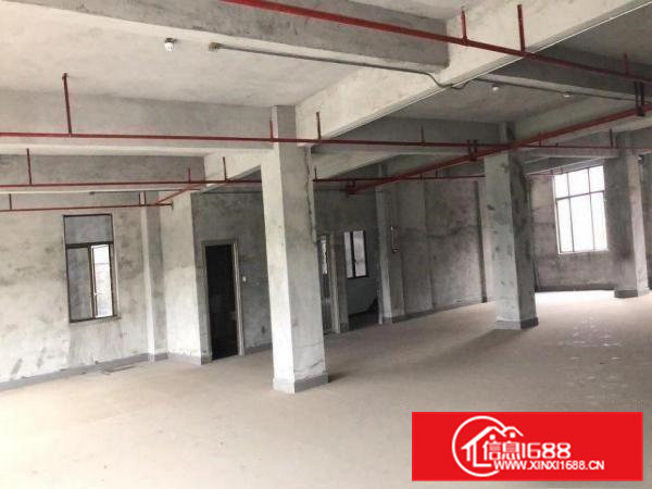 厂房招租，大小可分。仓库也有