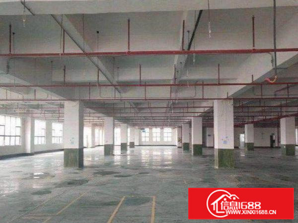 企石镇铁炉坑村3楼350方厂房出租，形象好，带地坪漆！