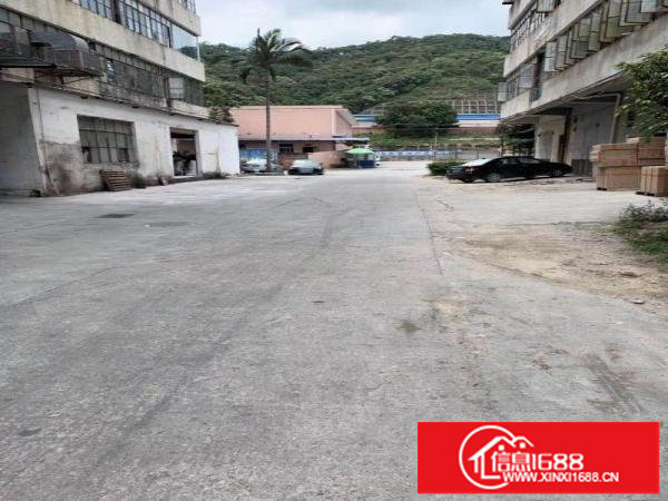 高实用率原业主直租双红本厂房一楼物流仓库100一1500平