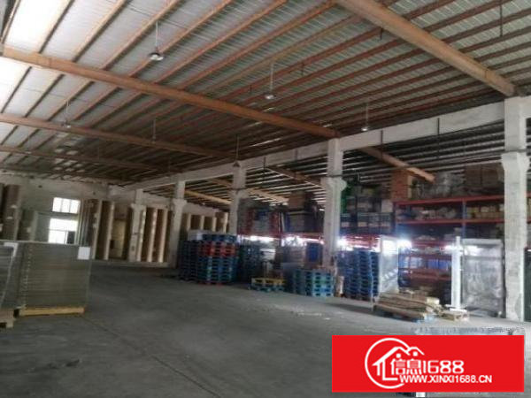 平湖新出2800平米独院钢构带牛角8米高厂房出租