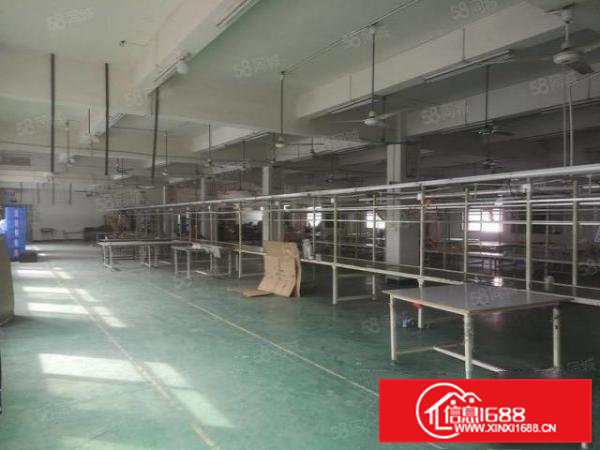 低价出租桥头镇原房东独院3800平带装修可办环评可分租