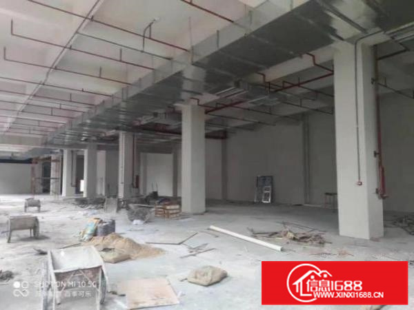 南海丹灶新出标准厂房原房东带消防喷淋带牛腿位两层带电梯