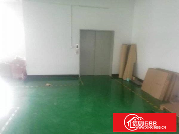 泰美全新地坪漆厂房出租分租