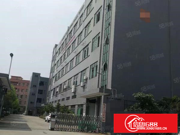 石排标准厂房5层8000方出租，现成水电，现成办公室！