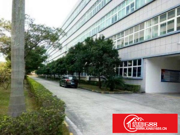 横岗大康独院原房东带装修厂房2100平米大小出租