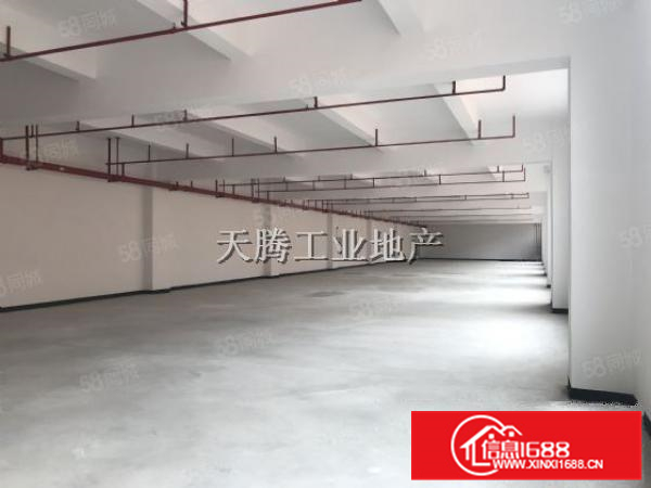 （出租）天富来带消防喷淋带两台货梯