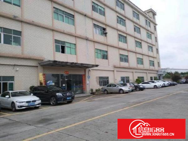 桂花路2楼厂房1000平方精装修