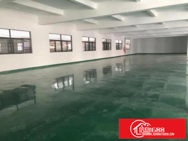 独门独院带办公，容桂工业区800方标准厂房带地坪漆五金环评A