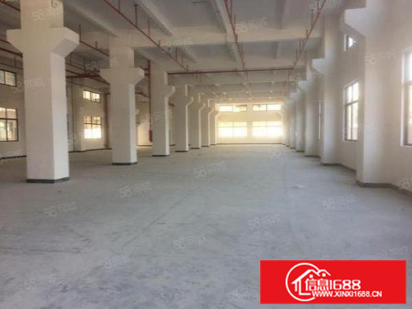 大朗新马莲一楼1700平有装修可分租