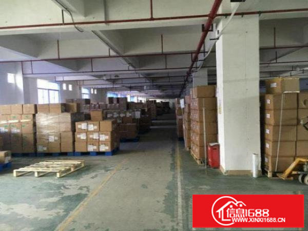 大浪商业中心旁大型创业园小面积厂房出租行业不限可分租