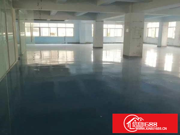 布吉街新出一万平，租金20一平方，可以分租