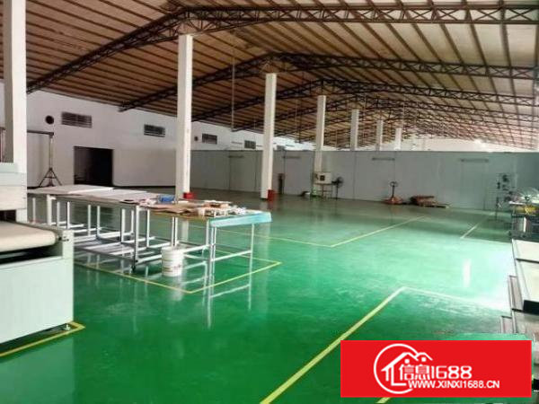 大朗松木山新出独院厂房1200平滴水7米现成办公室装修