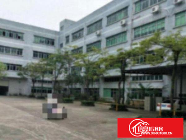 高埗独门独院厂房楼上1400平现成装修办公室出租