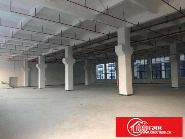 坑梓原房东红本滴水10米高钢构厂房招租有水电