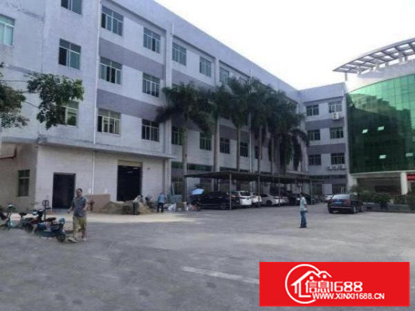 笋盘深圳观澜楼上地坪漆2000方，豪华办公室，空地大进大车