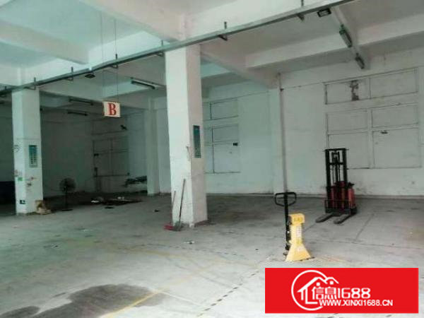 出租坪山区碧岭一楼1200平方，高5.8米;原房东实际面积