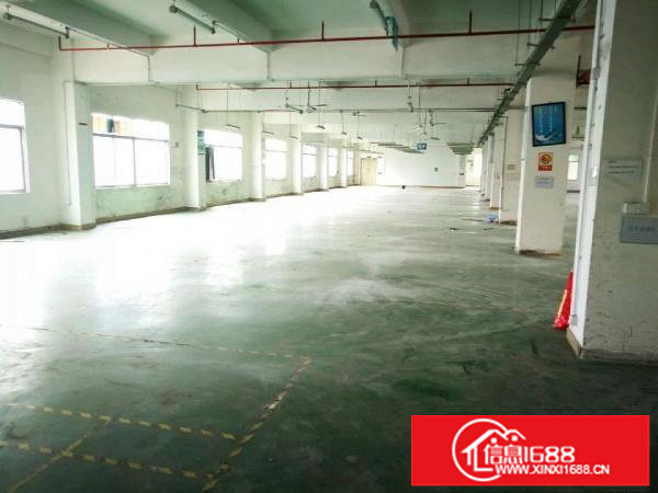坪山大型工业区新出一楼厂房1500平方出租