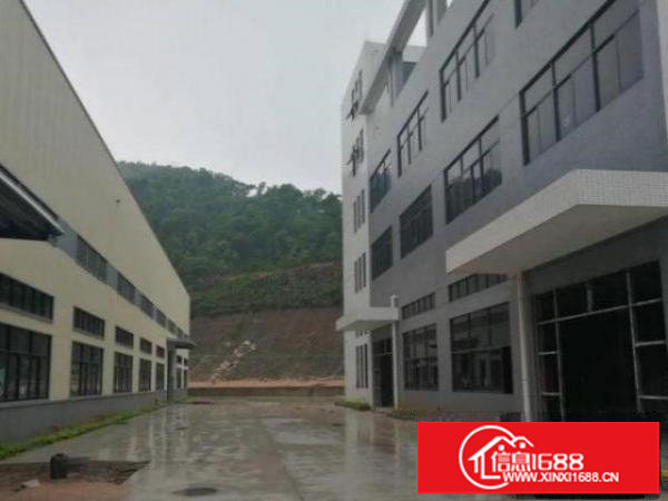 低价笋盘！观澜大和一楼厂房300方便宜急租，水电齐全