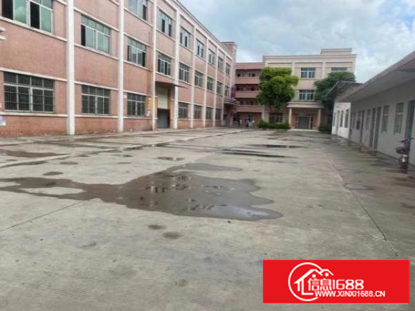 原房东独门独院标准厂房招租一楼高5米