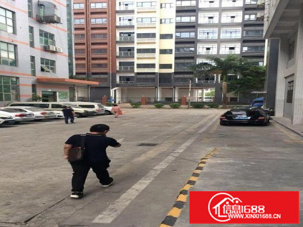 坂田一楼1360平出租空地大