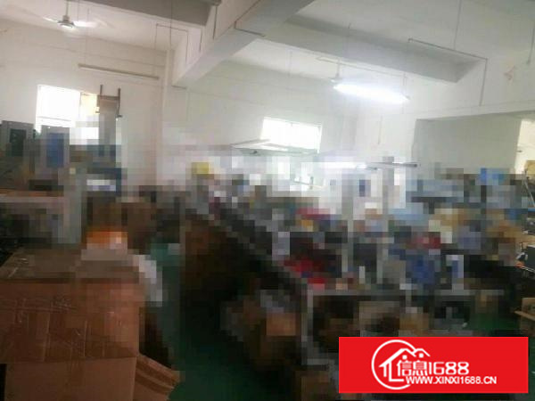 龙岗中心城五联路，办公室厂房350平米